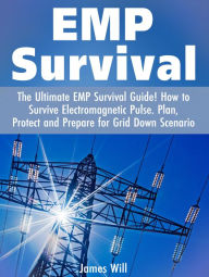 Title: EMP Survival: The Ultimate EMP Survival Guide! How to Survive Electromagnetic Pulse. Plan, Protect and Prepare for Grid Down Scenario, Author: James Will