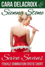 Seven Swans (Naughty Boys of Christmas, #3)