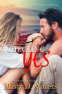 Checking Yes (Charming Dove Harbor, #1)