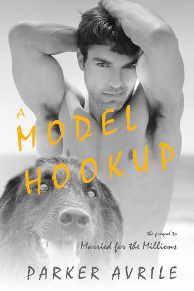 A Model Hookup (Married for the Millions, #0)