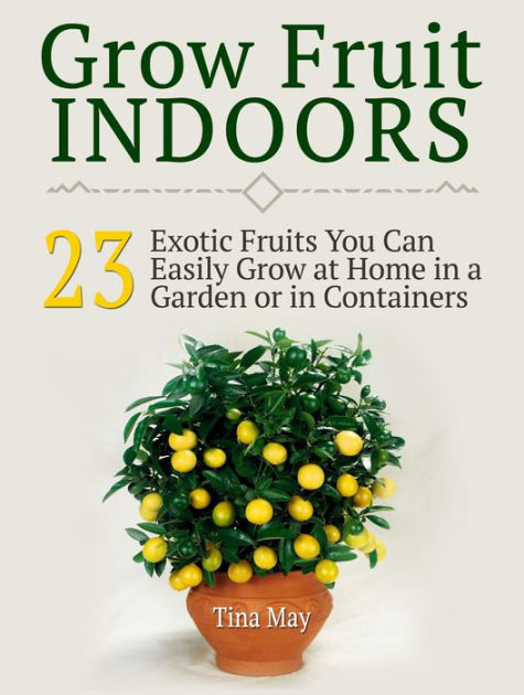 Grow Fruit Indoors 23 Exotic Fruits You Can Easily At Home In A Garden Or Containers By Tina May Nook Book Ebook Barnes Le Nook Book Ebook Barnes Le
