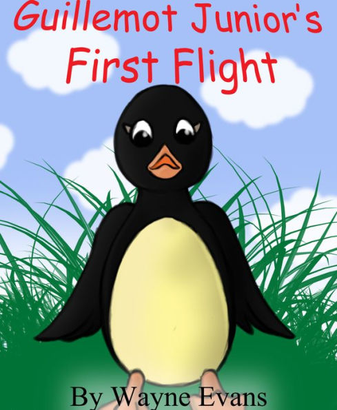 Guillemot Junior's First Flight: A children's story with morals.
