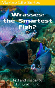 Title: Wrasses: the Smartest Fish?, Author: Tim Grollimund