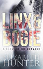 A Ghost in the Glamour: Linx and Bogie #1