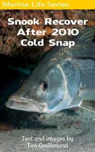 Title: Snook Recover After 2010 Cold Snap, Author: Tim Grollimund