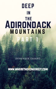 Title: Deep In The Adirondack Mountains, Author: Dongbaek Sasang