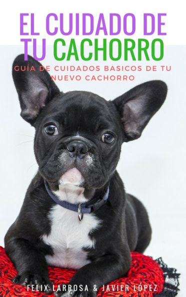 El cuidado de tu cachorro: Guia de cuidados básicos de tu nuevo cachorro