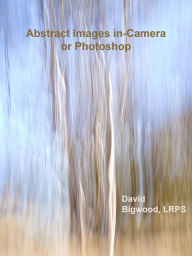 Title: Abstract Images in-Camera or Photoshop, Author: David Bigwood