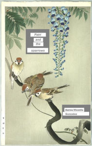Title: Patri and the sparrows, Author: Aurea-Vicenta Gonzalez