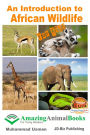 An Introduction to African Wildlife for Kids