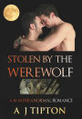 Stolen by the Werewolf: A M-M Paranormal Romance (Werewolves of Singer Valley, #1)