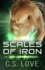 Paranormal Shifter Romance Scales of Iron BBW Dragon Shifter Paranormal Romance (The Winged Dragons, #3)