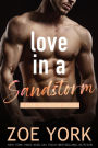 Love in a Sandstorm (Pine Harbour, #6)