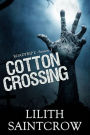 Cotton Crossing (Roadtrip Z, #1)