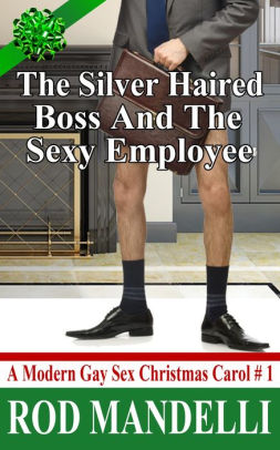 The Silver Haired Boss And The Sexy Employee A Modern Gay Sex