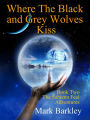 Where The Black and Grey Wolves Kiss (The Sabienn Feel Adventures, #2)