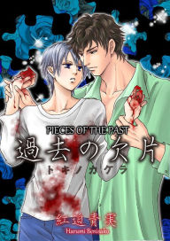 Title: Pieces of The Past (Yaoi Manga): Volume 1, Author: Harumi Benisako