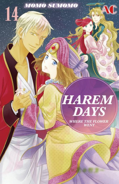 HAREM DAYS THE SEVEN-STARRED COUNTRY: Volume 14