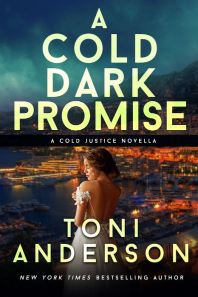 A Cold Dark Promise: A Romantic Thriller