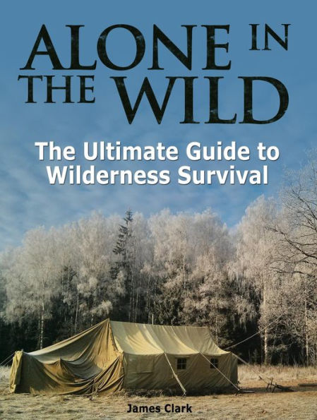 Alone in the Wild: The Ultimate Guide to Wilderness Survival by James ...