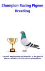 Champion Racing Pigeon Breeding