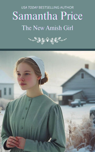 The New Amish Girl (Amish Foster Girls, #3)