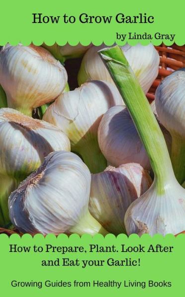 How to Grow Garlic (Growing Guides)