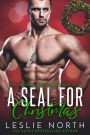 A SEAL for Christmas (All I Want for Christmas is..., #2)