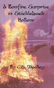 Title: A Bonfire Surprise in Stickleback Hollow, Author: C. S. Woolley