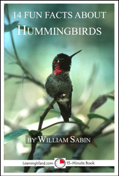 14 Fun Facts About Hummingbirds