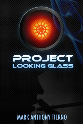 looking glass project