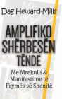 Amplifiko shërbesën tënde me mrekulli& manifestime të frymës së shenjtë