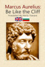 Marcus Aurelius: Be Like the Cliff