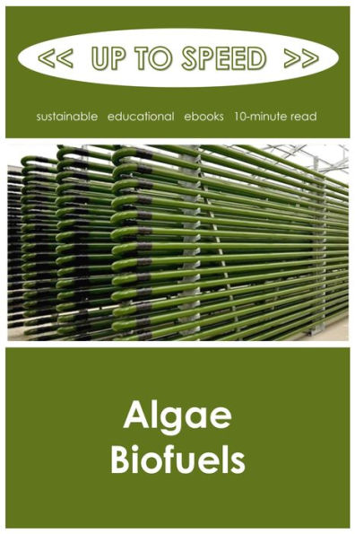 Algae Biofuels