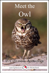 Title: Meet the Owl, Author: Caitlind L. Alexander