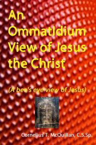 Title: An Ommatidium View of Jesus, the Christ (A bee's eye view of Jesus), Author: Cornelius McQuillan