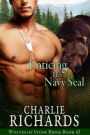 Enticing his Navy Seal (Wolves of Stone Ridge, #43)