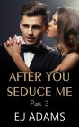 After You Seduce Me - Part 3