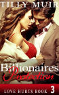 Billionaires Protection (Love Hurts, #3)