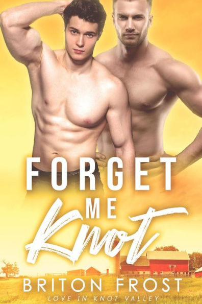 Forget Me Knot: An Mpreg Romance (Love in Knot Valley, #1)