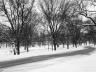 Title: A Time of Ice and Ash, Author: Maile Rudebusch