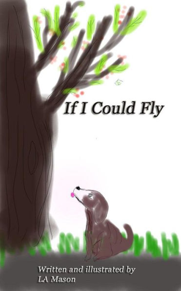 If I CouldFly (Tales of Sir Jackson de Rabbitus, #1)
