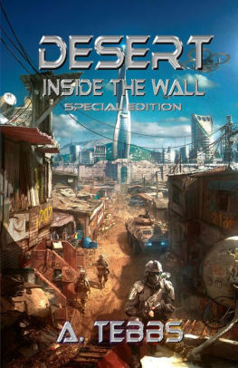 Desert 1 Inside The Wall Special Edition By A Tebbs Nook - 