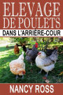 Elevage de poulets dans l'arrière-cour