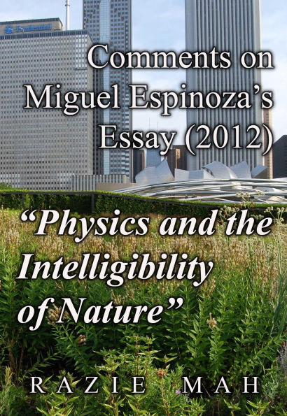 Comments on Miguel Espinoza's Essay (2012) 