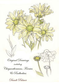 Title: Original Drawings Including Chrysanthemums, Freesias and Rudbeckias, Author: Dandi Palmer