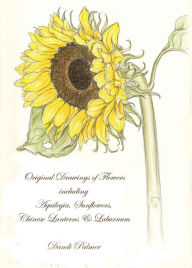 Title: Original Drawings of Flowers Including Aquilegia, Sunflowers, Chinese Lanterns and Laburnum, Author: Dandi Palmer