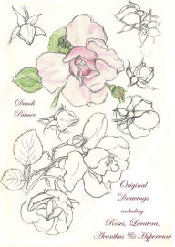 Title: Original Drawings Including Roses, Lavatera, Acanthus and Hypericum, Author: Dandi Palmer
