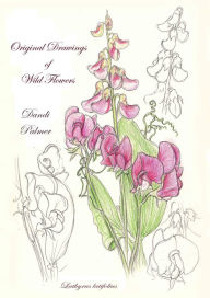 Title: Original Drawings of Wild Flowers, Author: Dandi Palmer