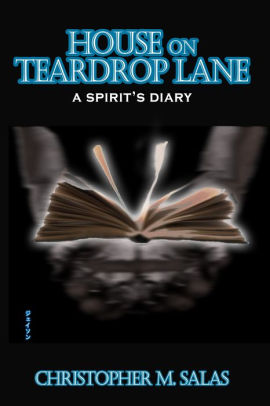 House On Teardrop Lane A Spirit S Diary Part Three By